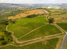 Portuguese authentic Atlantic wineries